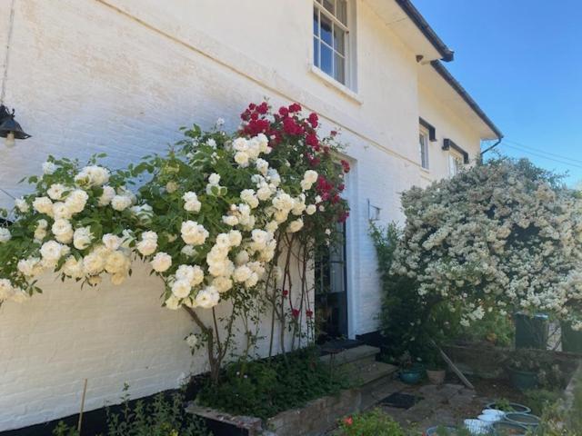 Old Rectory - Scoulton Great Ellingham Exterior foto